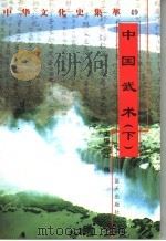 中国武术 下 1998 PDF电子版封面 7800818209 林志雄编著