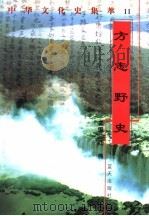 方志野史 1998 PDF电子版封面 7800818209 陈方华编著