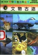 文物古迹 1996 PDF电子版封面 7540204915 刘以林总主编;李立群本册主编