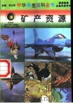 矿产资源 1996 PDF电子版封面 7540204915 刘以林总主编;何贞利本册主编