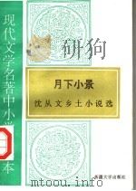 现代文学名著中小学选读本  月下小景  沈从文乡土小说选（1995 PDF版）