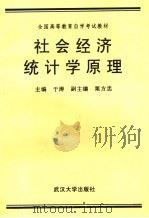 社会经济统计学原理 1992 PDF电子版封面 7307011824 于涛主编