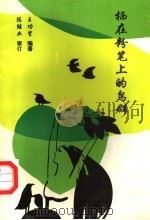 栖在粉笔上的鸟群 1998 PDF电子版封面 750592916X 王功望编著