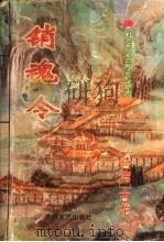 销魂令（1994 PDF版）
