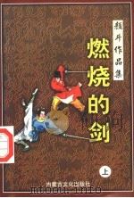 燃烧的剑 上 1998 PDF电子版封面 780506555X 颜斗著
