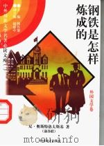 钢铁是怎样炼成的 1 1997 PDF电子版封面 7801018168 (前苏联)尼·奥斯特洛夫斯基著;李雨钱译