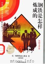 钢铁是怎样炼成的 二 1997年12月第1版 PDF电子版封面 (前苏联)尼·奥斯特洛夫斯基著 李雨钱译