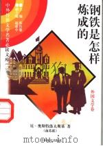 钢铁是怎样炼成的 3 1997 PDF电子版封面 7801018168 (前苏联)尼·奥斯特洛夫斯基著;李雨钱译