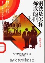 钢铁是怎样炼成的 4 1997 PDF电子版封面 7801018168 (前苏联)尼·奥斯特洛夫斯基著;李雨钱译