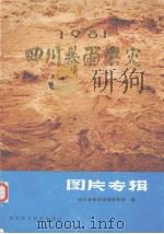 1981四川暴雨洪灾图片专辑 1984 PDF电子版封面 13298·31 四川省自然资源研究所编