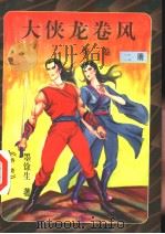 大侠龙卷风  第1卷  第2册（ PDF版）