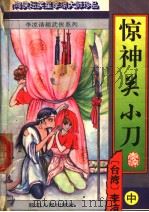 惊神关小刀 中 PDF电子版封面 (台湾)李凉著