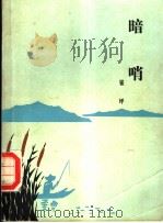 暗哨 第2版 1982 PDF电子版封面 10019·2792 崔坪