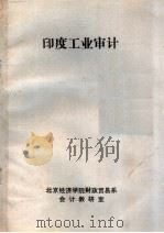 印度工业审计（ PDF版）