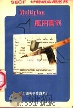 MUL TIP LAN程序应用实例（ PDF版）