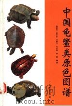 中国龟鳖类原色图谱 1997 PDF电子版封面 7806320741 杨渡远等编著