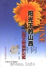 山西文物保护纪实（1999 PDF版）