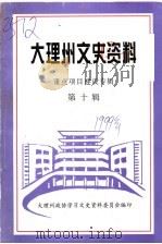 大理州文史资料  重点项目建设专辑  第10辑   1999  PDF电子版封面    中国人民政治协商会议大理白族自治州委员会学习文史资料委员会编 