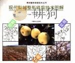 现代梨树整形修剪技术图解（1996 PDF版）