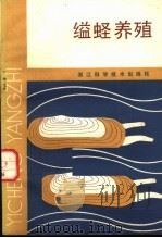 缢蛏养殖 1984 PDF电子版封面 16221·104 周炳元,董松生编著
