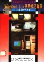 Windows3.X使用技巧集萃 1997 PDF电子版封面 7561112041 王鉴,栾兆文主编
