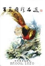 百鸟图精品选 1998 PDF电子版封面 7110044718 曾孝濂绘