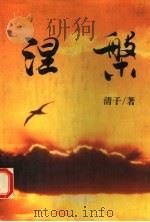 涅盘 1995 PDF电子版封面 7508002296 清子著