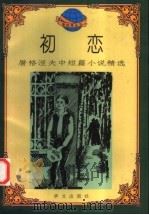 初恋 屠格涅夫中短篇小说精选 1995 PDF电子版封面 750750428X (俄)屠格涅夫著;王江,严晟编