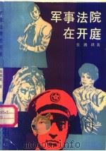 军事法院在开庭 1989 PDF电子版封面 7531302314 张泗琪著