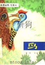 鸟（1981 PDF版）
