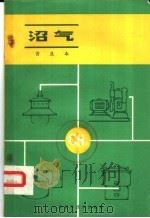 沼气 普及本 1981 PDF电子版封面 16196·073 唐振方等编写