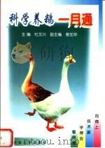 科学养鹅一月通（1998 PDF版）