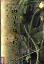 雨中风铃（1997 PDF版）