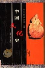 中国文化史（1998 PDF版）