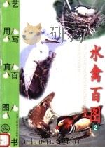 水禽百图（1999 PDF版）