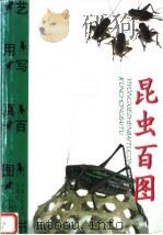 昆虫百图（1999 PDF版）