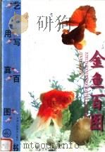 金鱼百图（1999 PDF版）