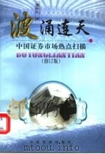波涌连天 中国证券市场热点扫描 修订版 1999 PDF电子版封面 7801471318 曹时礼著