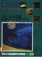 非洲慈鲷特辑（ PDF版）