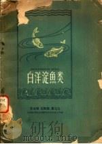 白洋淀鱼类 1960 PDF电子版封面 16086·237 郑葆珊等著