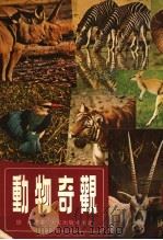 动物奇观（1979 PDF版）