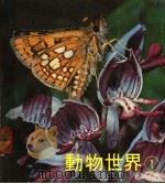 动物世界  1（1978 PDF版）