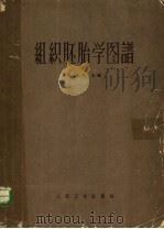 组织胚胎学图谱 1958.1 PDF电子版封面 蒋加年主编