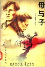 母与子 下 1995 PDF电子版封面 7206023290 (法)罗曼·罗兰著