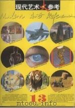 现代艺术大参考  第13辑（1994 PDF版）