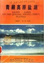 青藏高原盐湖 1989 PDF电子版封面 7530405195 郑绵平,向军等著