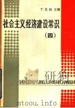 社会主义经济建设常识 4 1984 PDF电子版封面 4110·184 于光远主编