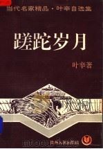 磋跎岁月（1995 PDF版）