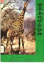 世界各地珍奇动物 1982 PDF电子版封面 13091·42 陈鹏编著