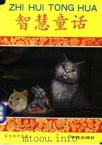 智慧童话（1994 PDF版）